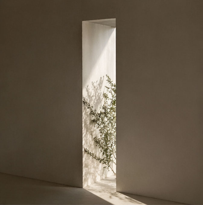 puerta con árbol puerta con árbol