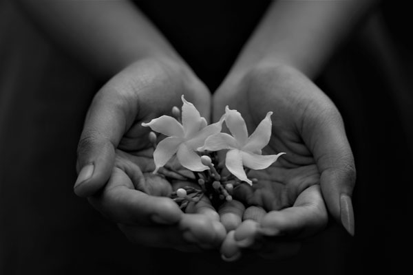 manos flores manos flores